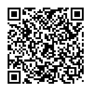 可九州王一脉是实实在在地死在萧家皇室的先帝和皇上的生母手中二维码生成