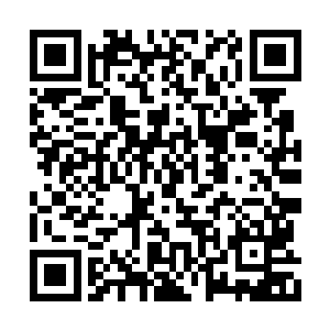 可也不能这感觉就断定他就是她失踪多年的儿子二维码生成