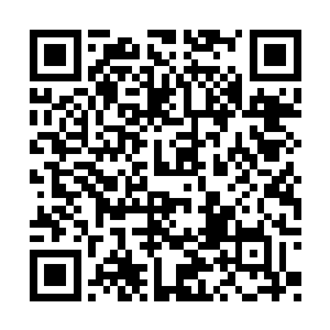 可也得对外给那些死掉的孩子们的父母一个交代二维码生成
