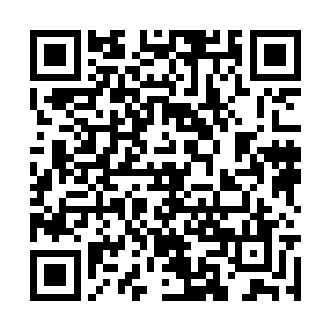 可也承受不了连弱水一群人都无法抵抗的煞蛛恐怖二维码生成