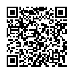 可事实是这就是一段关于原主的切肤之痛的记忆二维码生成