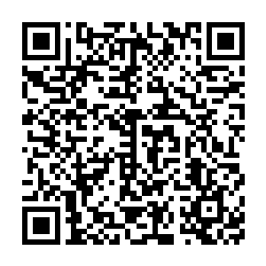 可亲眼看到韩风如此轻易轰杀二十多头相当于上位魂帝级别的怪物二维码生成