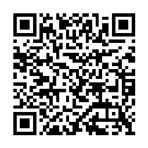 可人家头也不回就能隔空用石子打中他的膝盖窝二维码生成