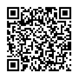 可从来都是事倍功半……甚至有时候都是竹篮打水一场空二维码生成