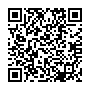 可从能决定自己生死命运的父皇口中说出就大不一样了二维码生成