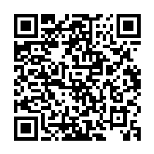 可他一直都支持的朱晋岩从一进门开始也都没有给他过好脸色看二维码生成