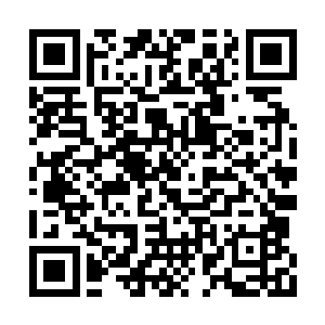 可他为什么还要那么明目张胆地将精血凝聚出来二维码生成