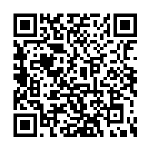 可他们却还是只能硬着头皮掀开了这决战的帷幕二维码生成