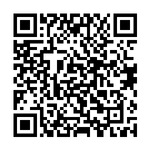 可他们没想到这样两头庞然大物就出现在了京城上空二维码生成