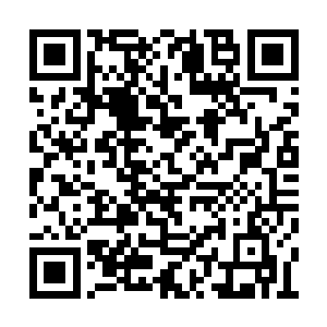 可他们这么多年仍旧没有杀光西大陆所有无角人二维码生成