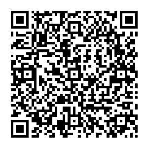 可他偏偏又是鸾凰族中修真天赋最高的修士――元婴巅峰的修为让族人们对他的崇拜更趋白热化二维码生成