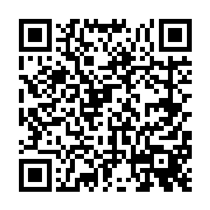 可他十二岁的时候就达到了我十八岁才达到的境界二维码生成