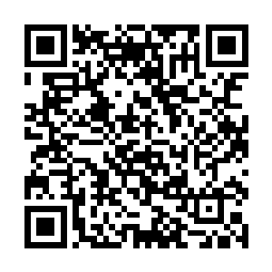 可他又哪里想得到大伯一家人竟然是如此的冷血无情二维码生成