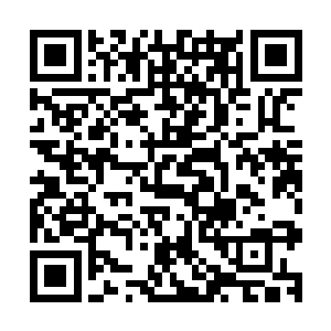 可他手下的高级神侍和裘恩等人却急得恨不得狂揍这两人一通二维码生成