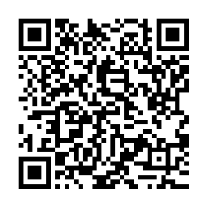 可他扛不住这堪比强酸的海兽胃酸的腐蚀啊……强行闯入的话二维码生成