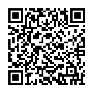 可他更相信雷霆雷王之下最强的那两个格斗强者二维码生成