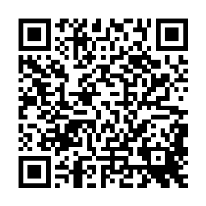 可他毕竟还没有成为神境高手便拥有了与超然强者们抗衡的力量二维码生成