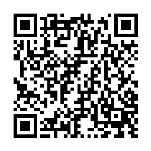 可他现在扮演的可是一名一色元丹修为的光明圣师二维码生成