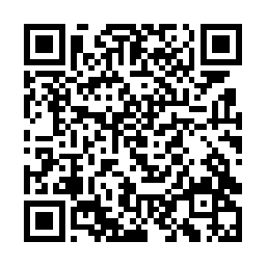 可他的表情落在其他人眼里活脱脱的就是狐狸的奸笑二维码生成