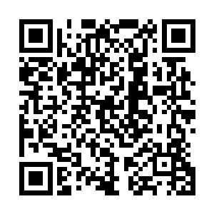 可他竟说自己孤身一人杀死了超过三百只野兽外加一只蛮兽二维码生成