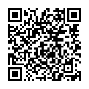 可他身体内流淌的血液与这个叶家已经有了很大的不同二维码生成