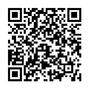 可他这次没有拿皮带也没有拿任何的东西去抽陈放二维码生成