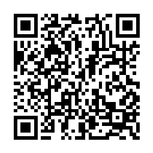 可以一次性的让上官珊瑚一辈子不用再做任何事二维码生成