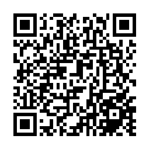 可以从得到他的良好遗传基因的黄小君身上看得出来二维码生成