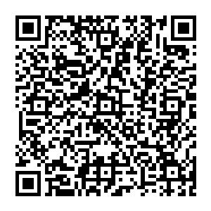 可以以绝强的元神之力强行抹除对方的元神烙印……比如圣级强者可以抹除武帝级别强者的元神烙印二维码生成