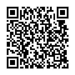 可以修炼也可以恢复剑元的消耗还能够当做货币二维码生成
