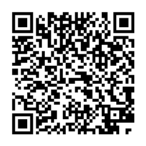 可以免疫普通弹药的特效去硬抗……现在已经被打成筛子了吧……二维码生成