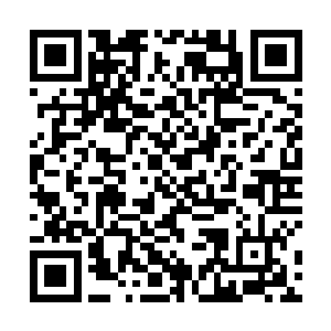 可以利用她和郎坚白的人脉为莫小鱼在艺术上铺一条路二维码生成