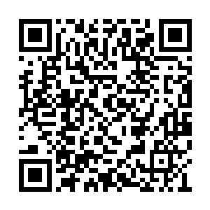 可以十分强烈地感觉到谭家非常沉闷悲伤的氛围二维码生成