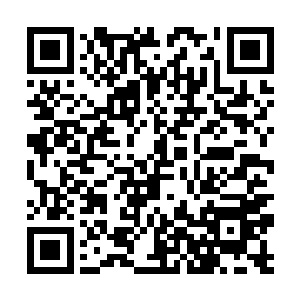 可以卫护萧大哥的安全而不是反过来让萧大哥照顾她二维码生成