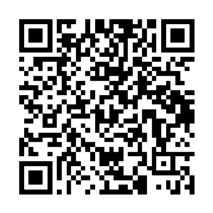 可以吸收部分黑魔渊的黑暗力量来加速力量的恢复二维码生成