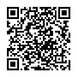 可以和任何一个正常的修真者一样有更为光明的前途呢二维码生成