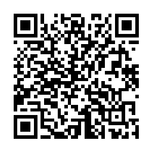 可以在森罗万象里面挑选一些植物栽种到你们的乾坤之中二维码生成