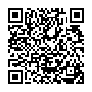 可以将这些原本无人过问的荒山荒坡承包租赁权进行公开招拍挂二维码生成