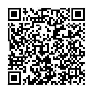 可以带上所有在星门事件中身体磨损的机器人以及一位保姆机器人二维码生成