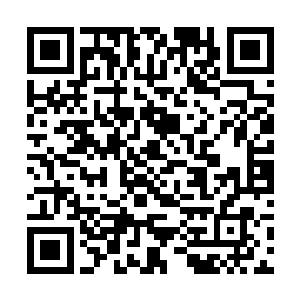 可以得到无尽黑暗力量修补自身的他而言并不算什么二维码生成