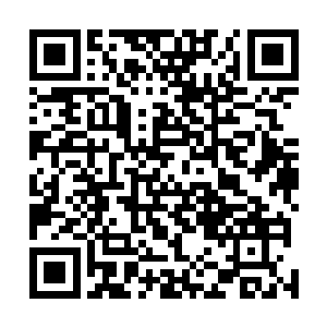 可以想见如果将这两个肉球放出来是怎么样一种视觉冲击二维码生成