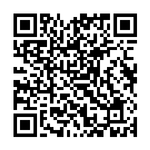 可以想象千里荒凉满目血色无一活人无一活物无一活草是什么样二维码生成