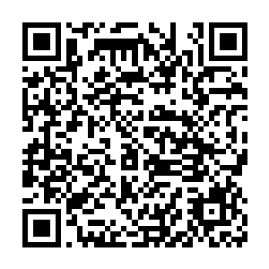 可以想象如此多高手聚集在一起互飙演技那将会是一场多么精彩的好戏二维码生成