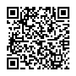 可以想象那俩笨蛋竭尽全力的在加快射击速度满足要求二维码生成