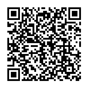 可以把谭晶从美国给她买来那种可以折叠车腿的婴儿车整体放进去二维码生成