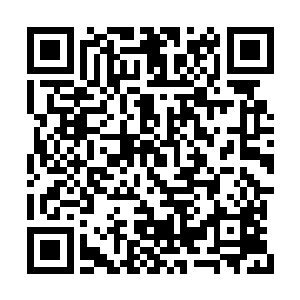 可以掩盖内心虚软得像是被打碎所有骨节的力量二维码生成