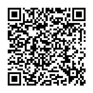 可以最大限度地了解我们蓝岛在法治和发展这个话题中存在哪些问题二维码生成