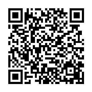 可以有效隔绝从星界之门当中所传出来的异世界污染二维码生成