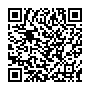 可以极大程度上削弱通灵火对武者肉身的伤害力二维码生成