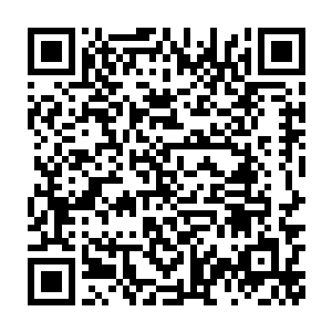 可以毫不夸张地说这点实力对龙傲天来说简直就是一点难度都没有二维码生成